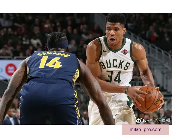 权威体育竞猜官网全新玩法指南与赛事分析推荐